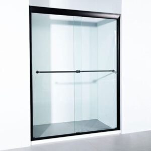Frameless Double Sliding Shower Door